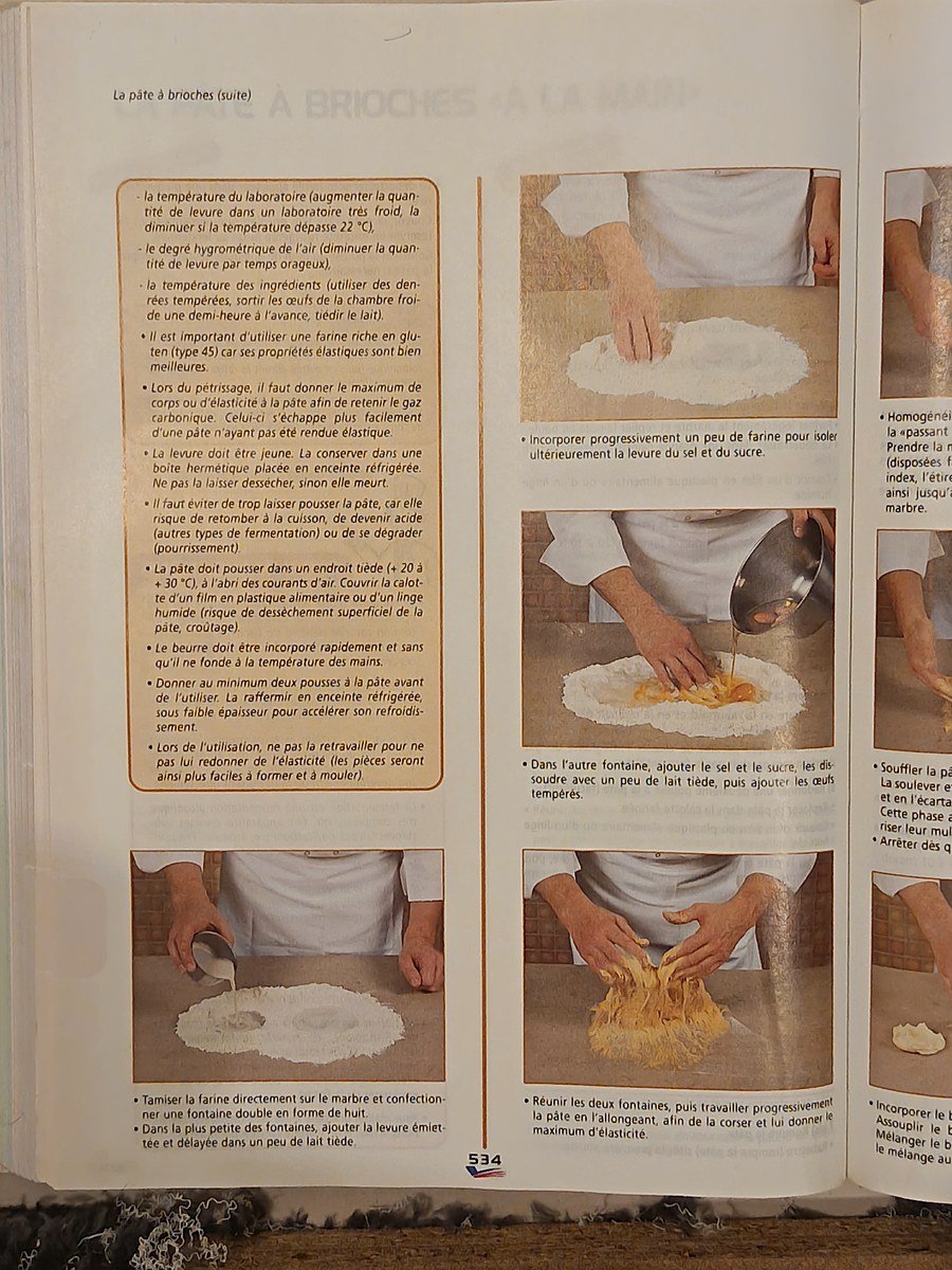 Scan La pâte à brioches